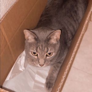 Meet your Posher, Leila